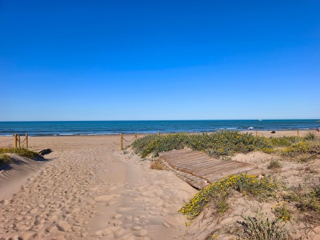 Strand Devesses