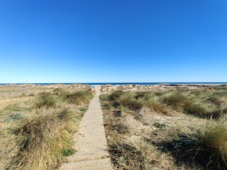 Dünen am strand von Denia